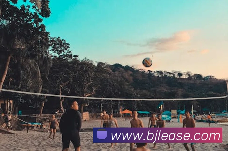 百家乐网站服务体系